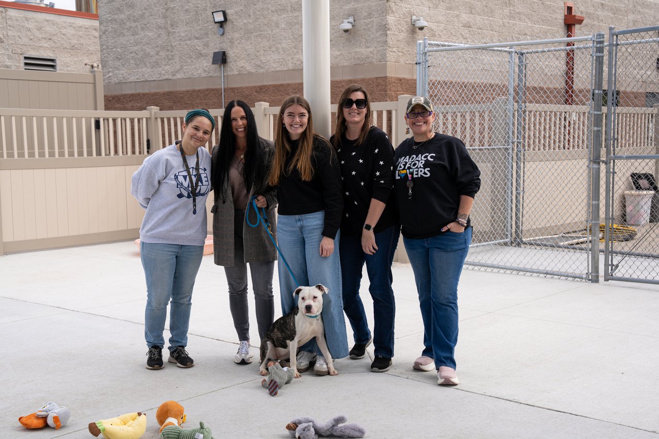 Five women pose with a seated shelter dog outside a fenced kennel area.