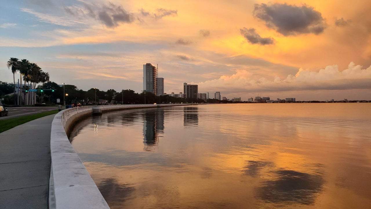 Sunset along Bayshore Boulevard in Tampa overlooking Hillsborough Bay with palm trees and waterfront scenery
