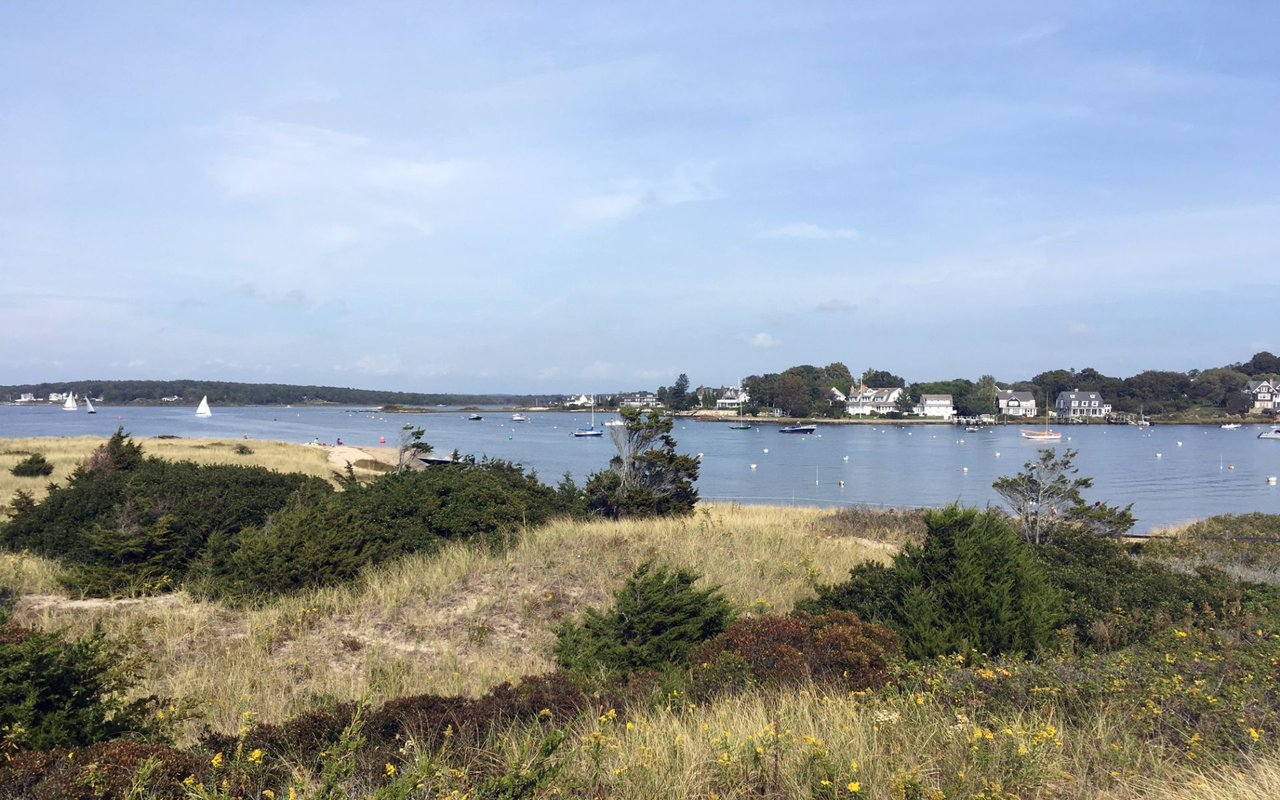 Hill and Harbor