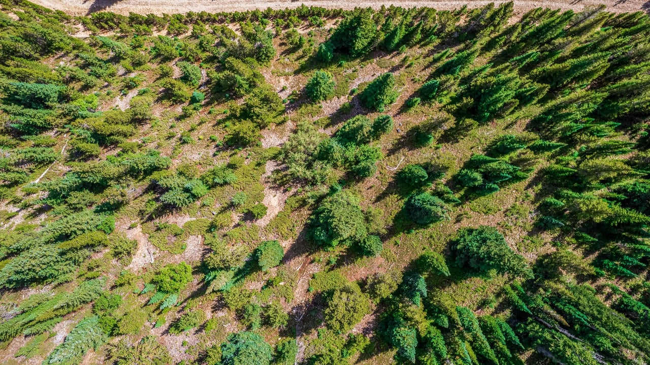 Just Listed: Discover High Country Living in St. Mary's, Colorado!