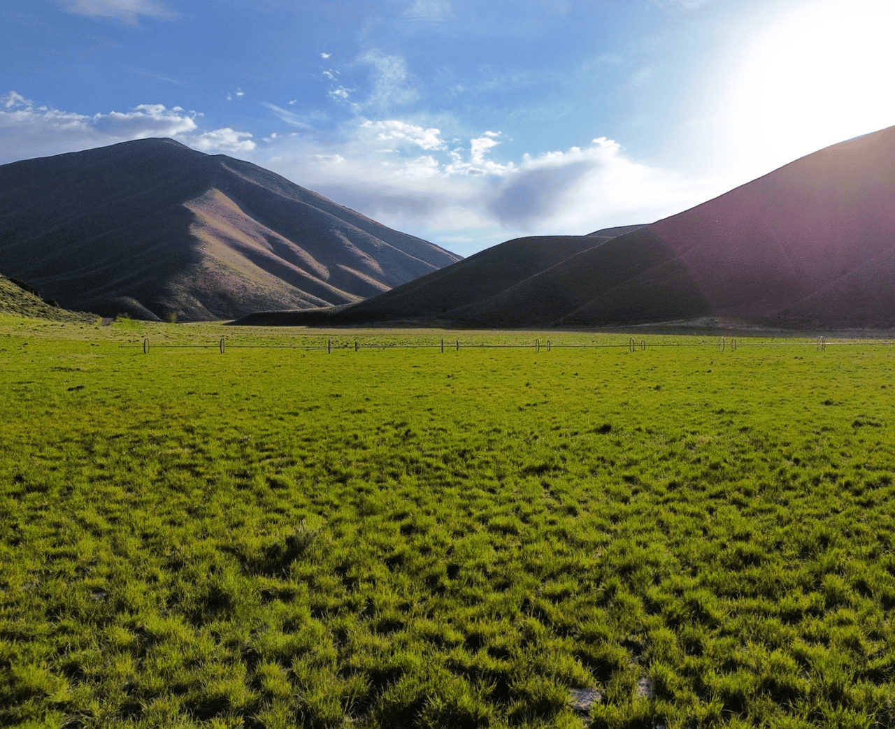 Introducing Quigley Ranch