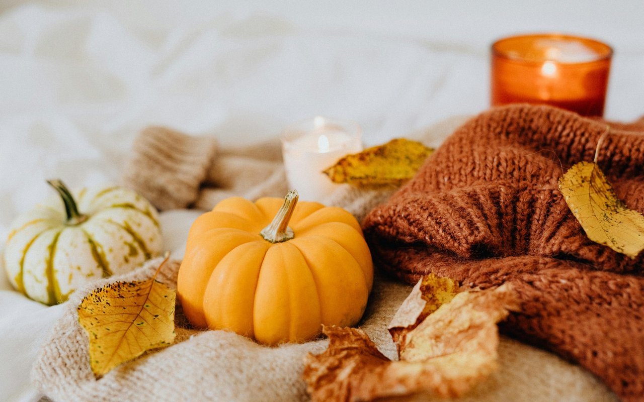 Alabama November 2024 Events