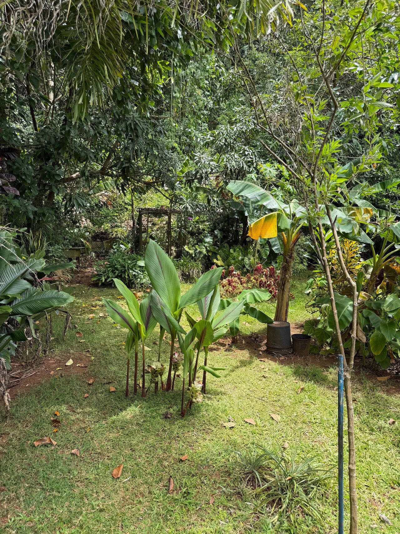  Peaceful location, Vega Baja