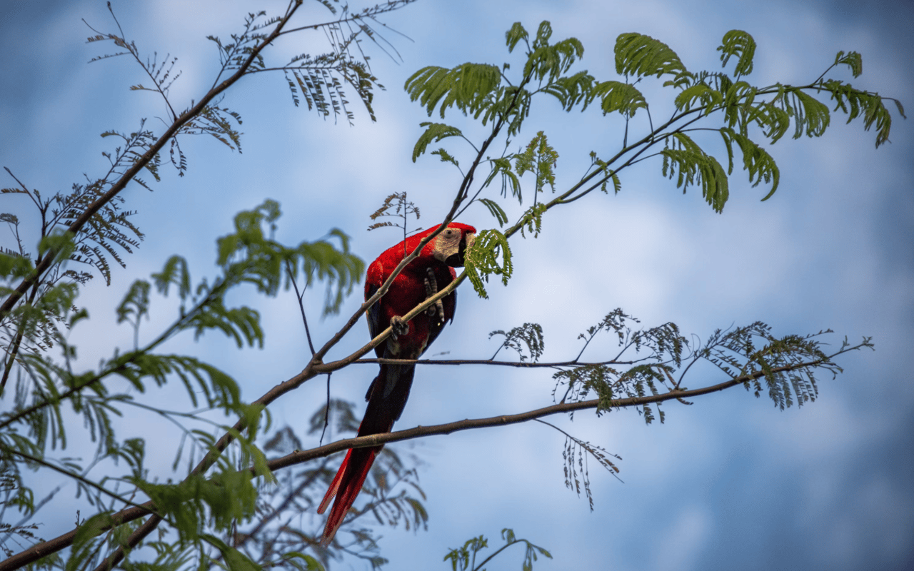 Top Outdoor Activities in Uvita