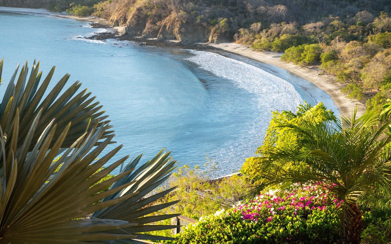 Expat/Relocation Guidance