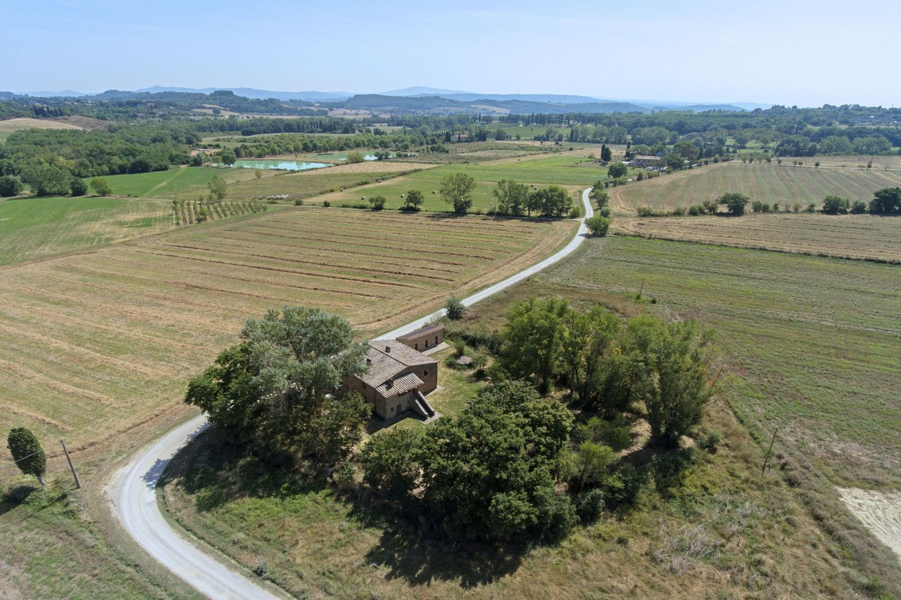 CASALE SANDRA