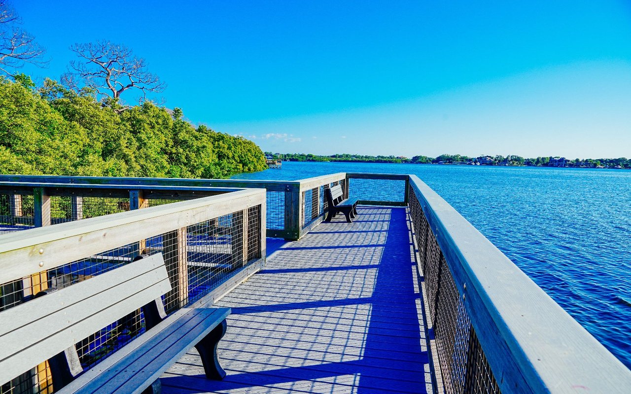 Blue Springs Reserve