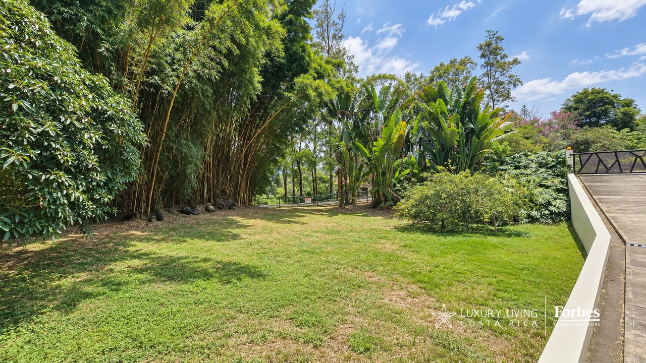 Landscaped garden with a broad lawn, dense bamboo and tropical plants beside a raised wooden terrace.