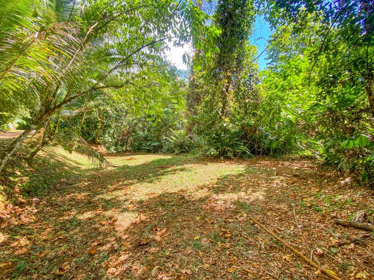3 Bedroom Rainforest Home in Ojochal With River & Waterfall | 3.5 Acres Private