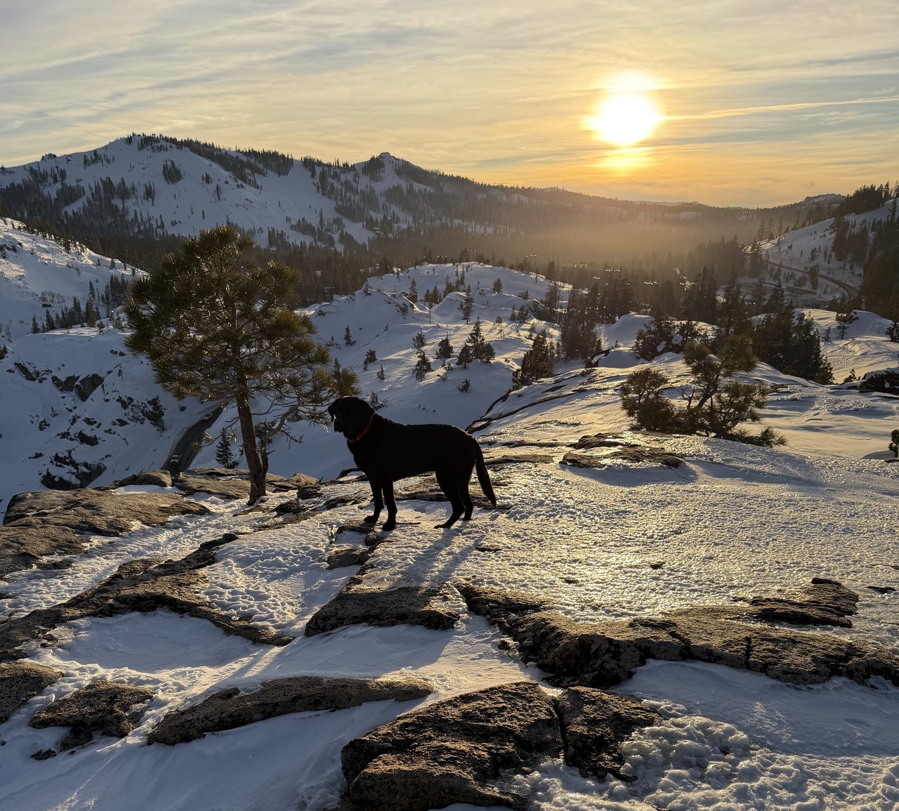 Tahoe Connect February 2026 | Winter Perspective, Olympic Inspiration & Market Momentum
