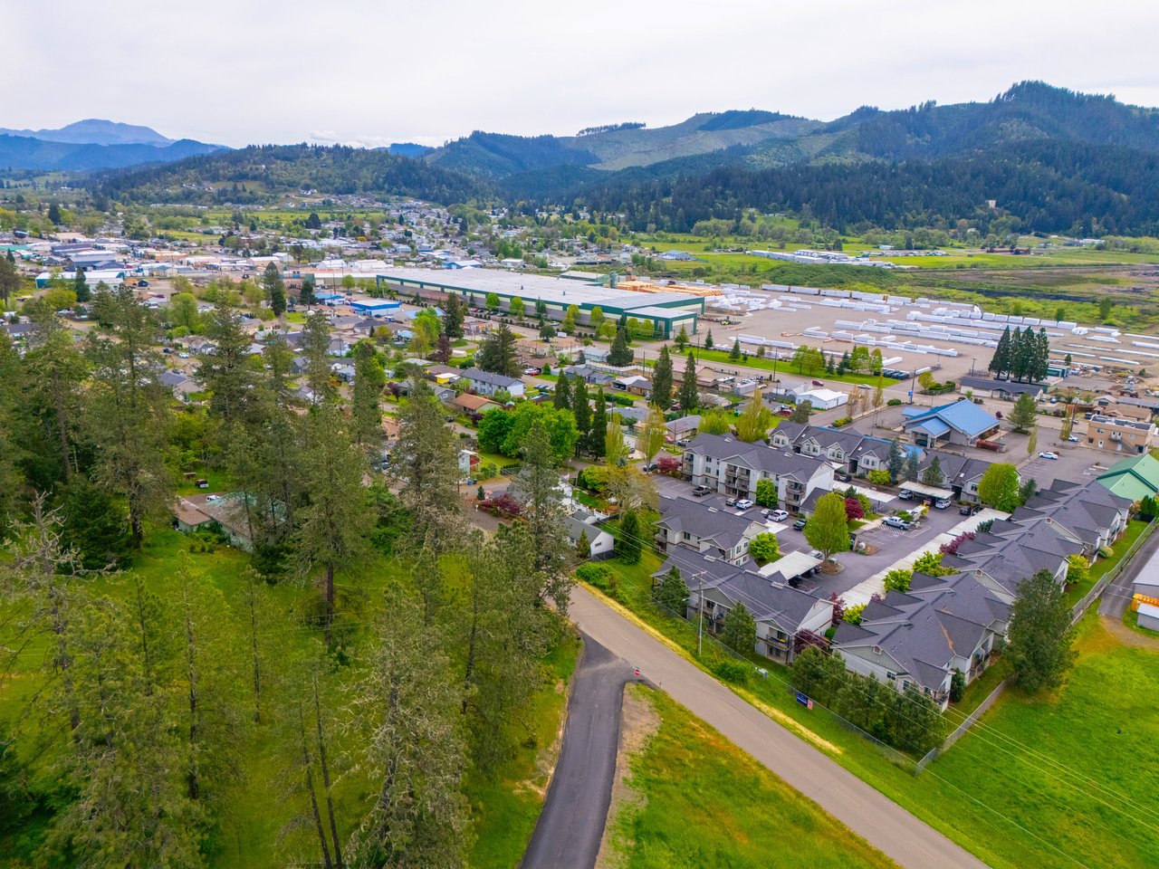 SUTHERLIN WOODLOTS