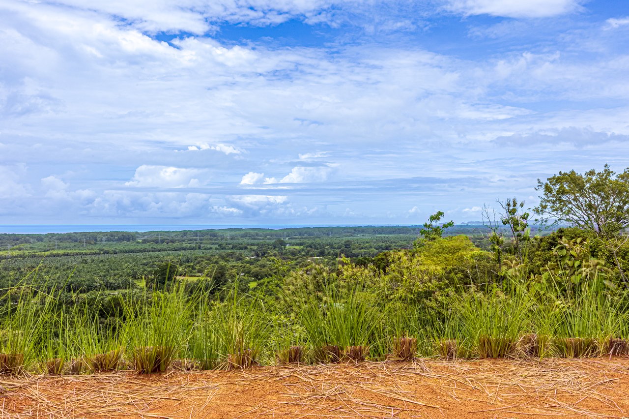 New Gated Development in Matapalo - Ocean View and Flat Land, ready to build!
