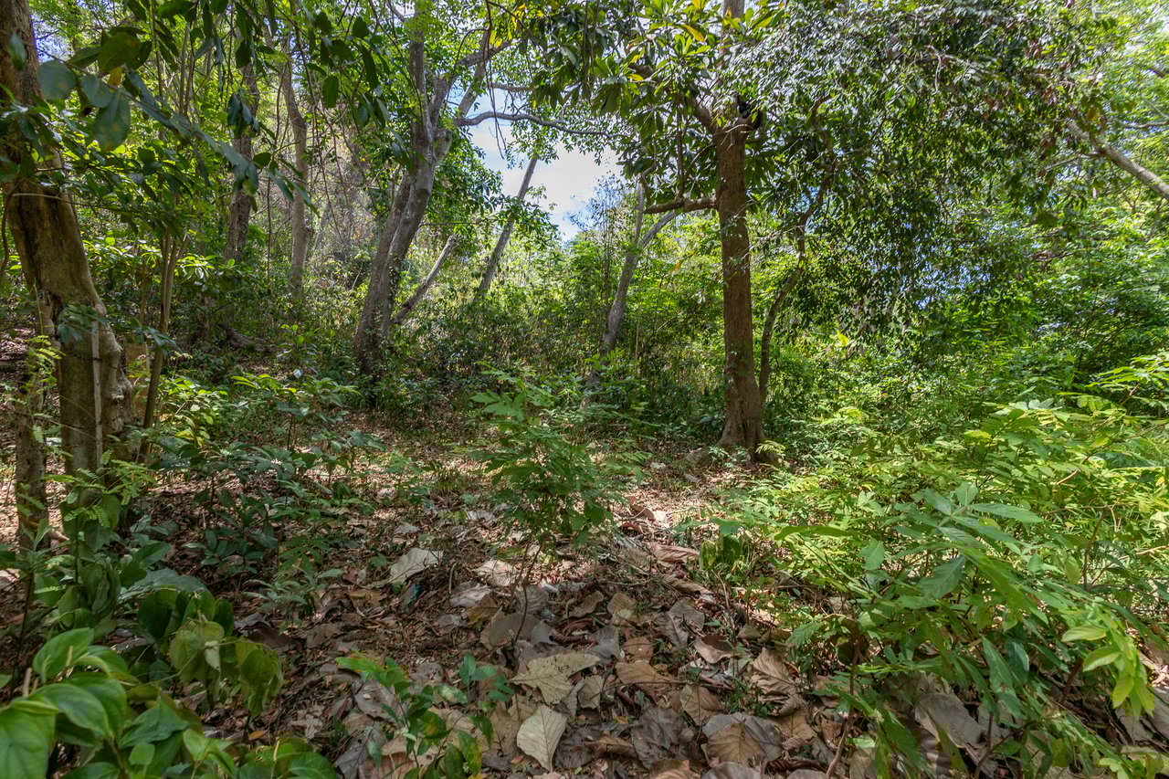 2.27 Acres close to Main Rd, Dixon Cove