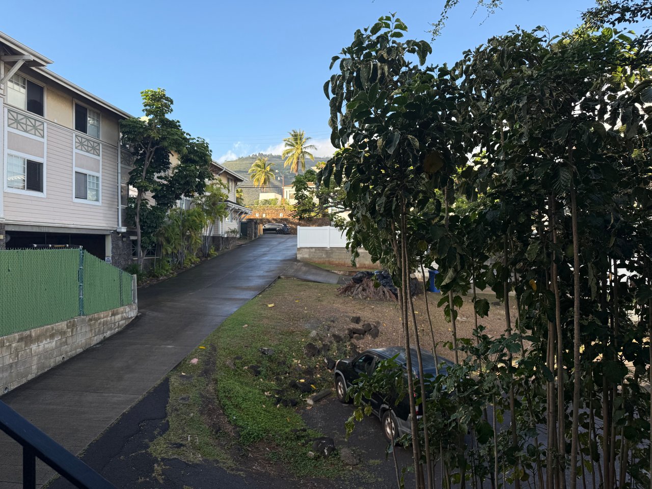 University Court Apts #305