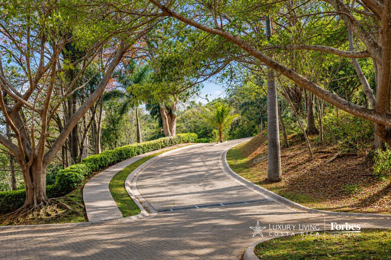 Curving paved driveway winds through lush tropical landscaping beneath mature trees.