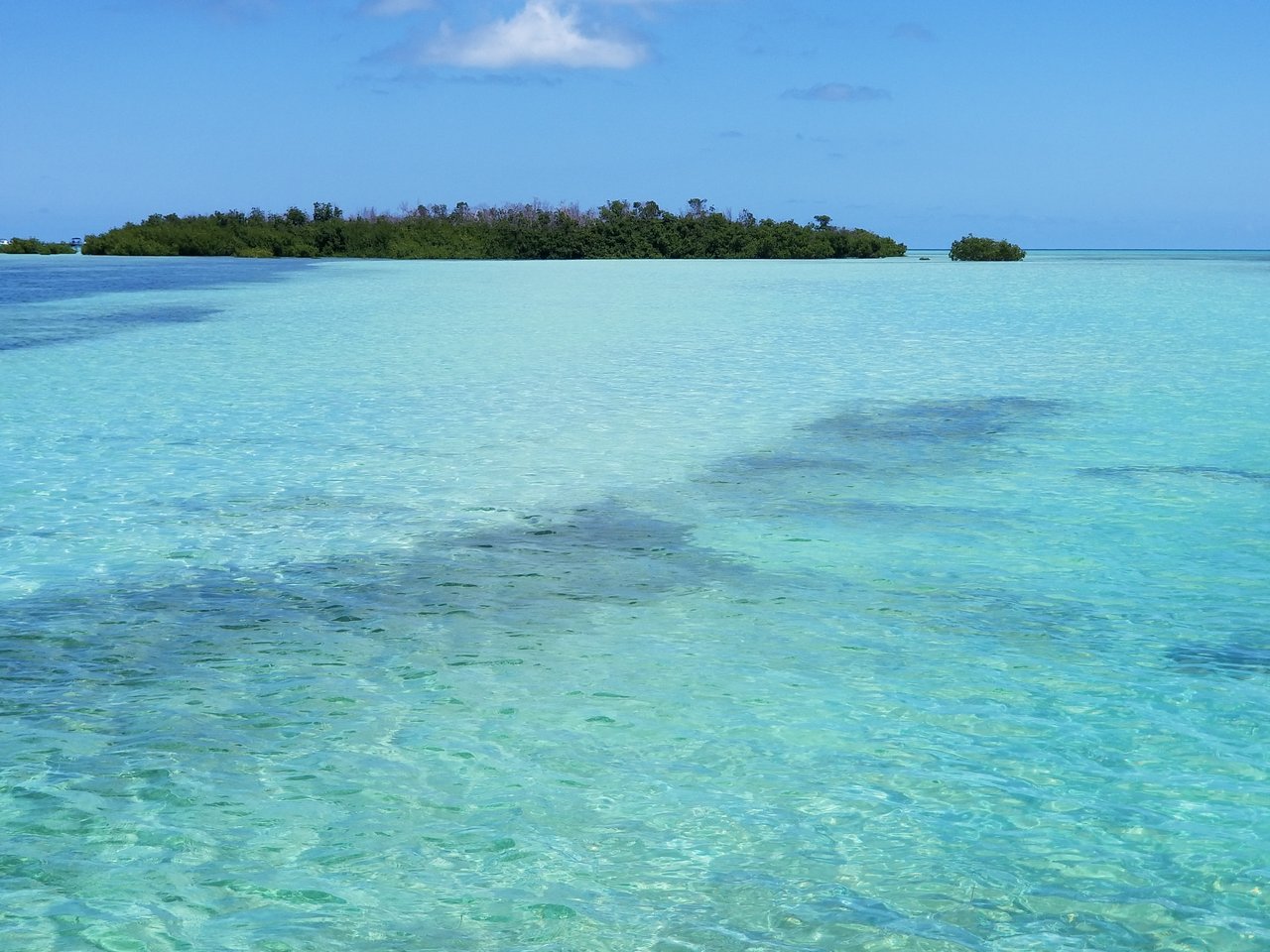 Tavernier/Plantation Key