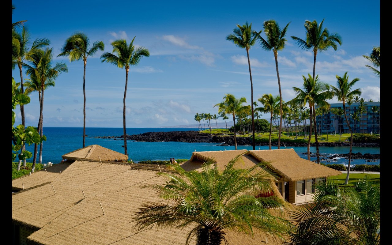 Palm-lined coastal neighborhood with thatched-roof homes beside turquoise water.