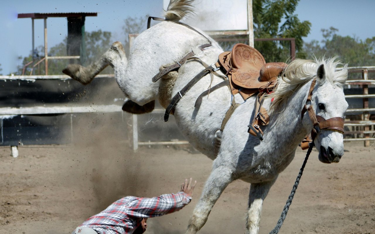 First Annual Winter Wyo Rodeo a Success