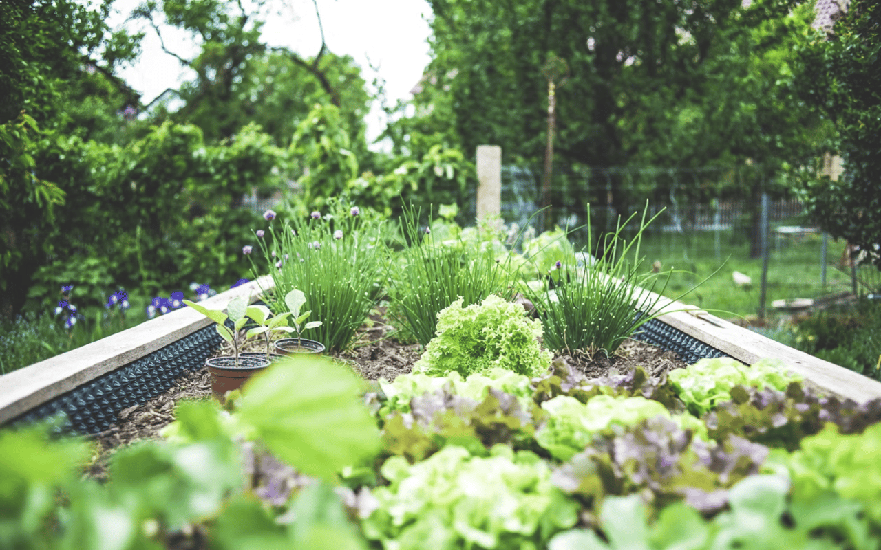 A Beginner’s Guide to Starting a Garden at Home cover