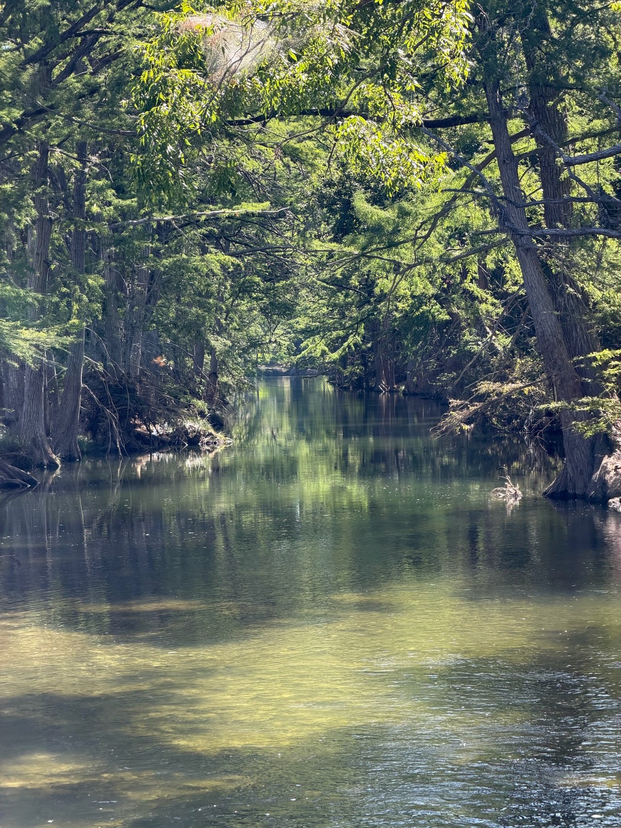 1340 Ranch Sold in Hunt, Texas | Stearns Ranch Realty Group