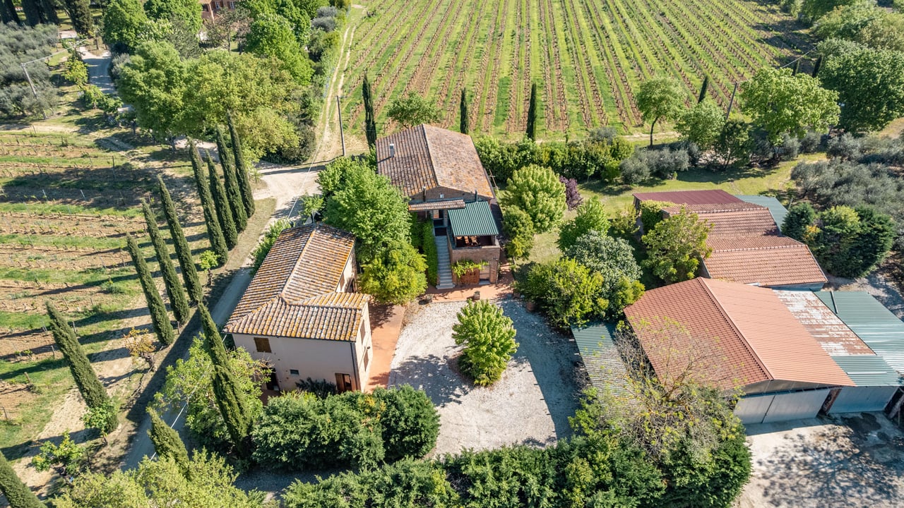 LA VIGNA ANTICA