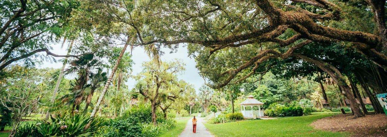Pathway lined with trees leading to a white gazebo at Flamingo Gardens in Davie, Florida.