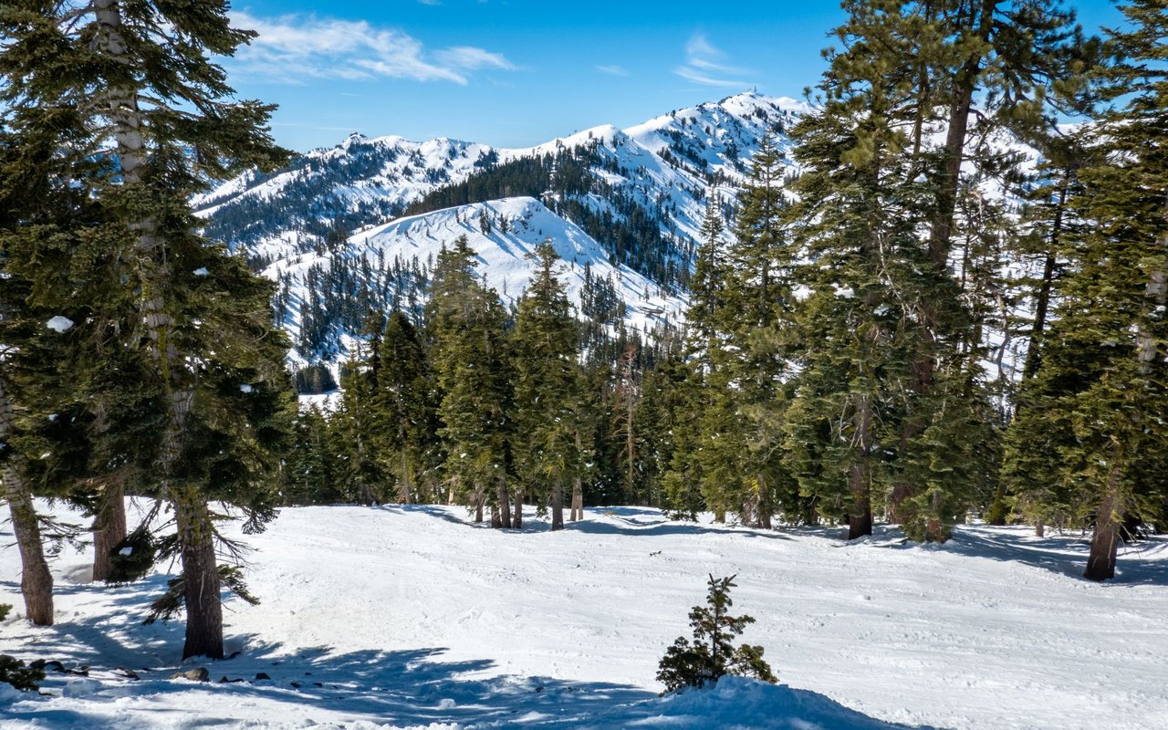 Squaw Valley / Alpine Meadows