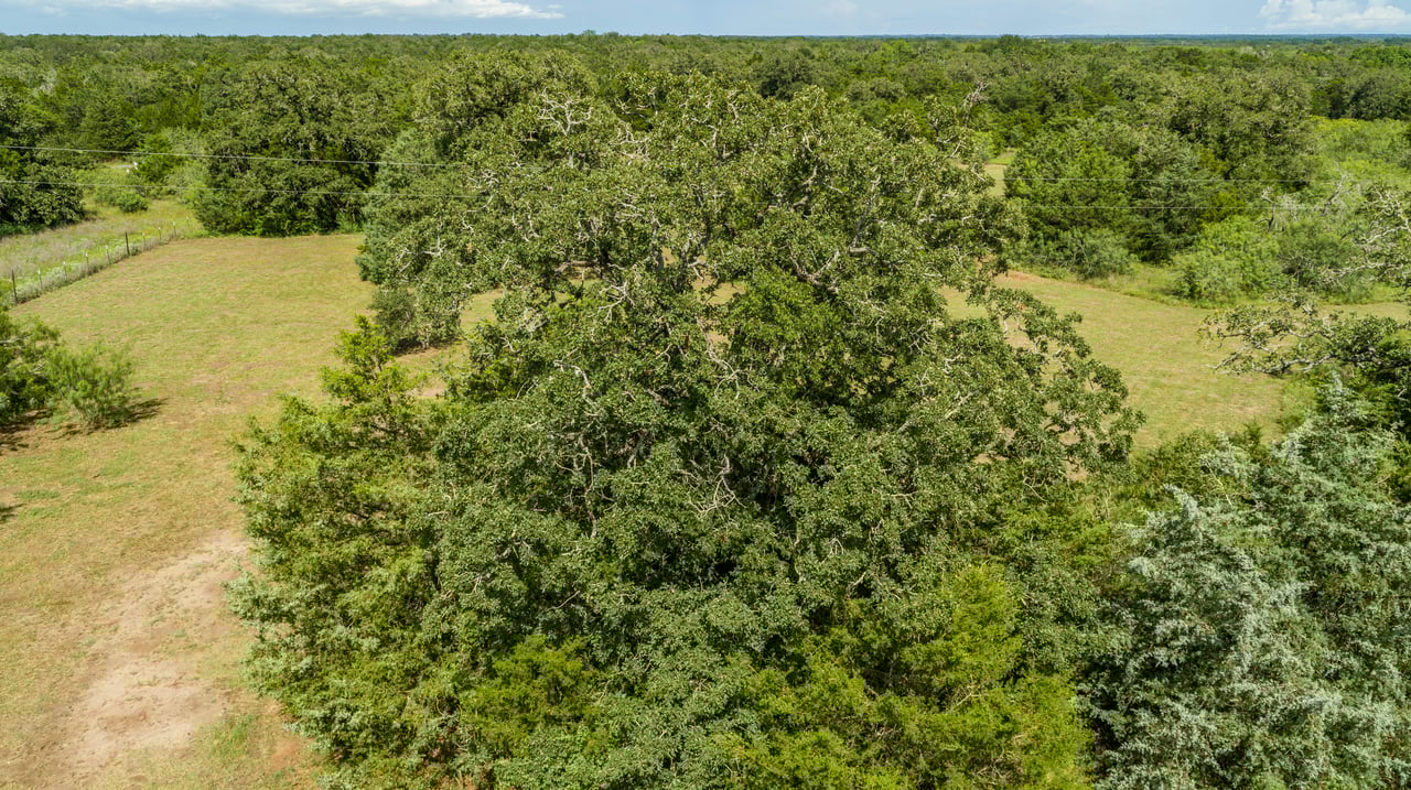 Post Oak Preserve | 18.115 ± Acres | Fayette County