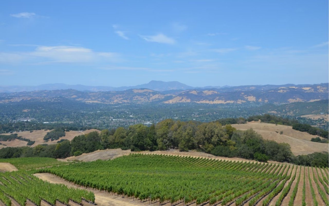 Love Where You Live: What Makes Santa Rosa, CA So Special
