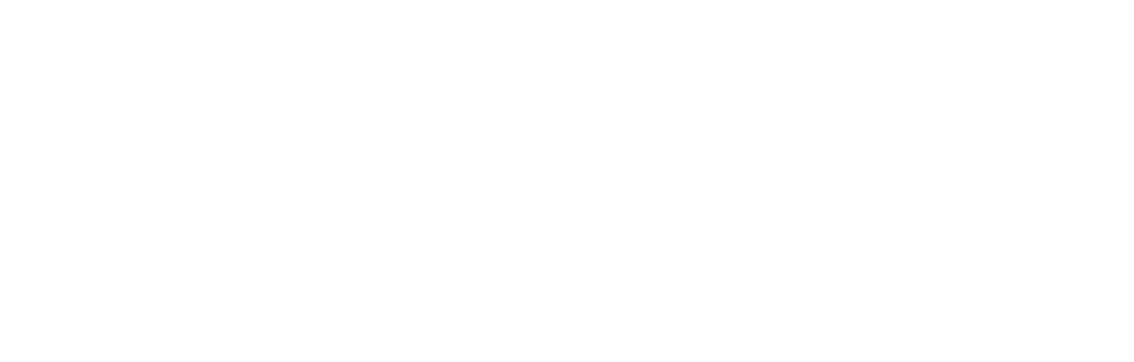 Light Logo
