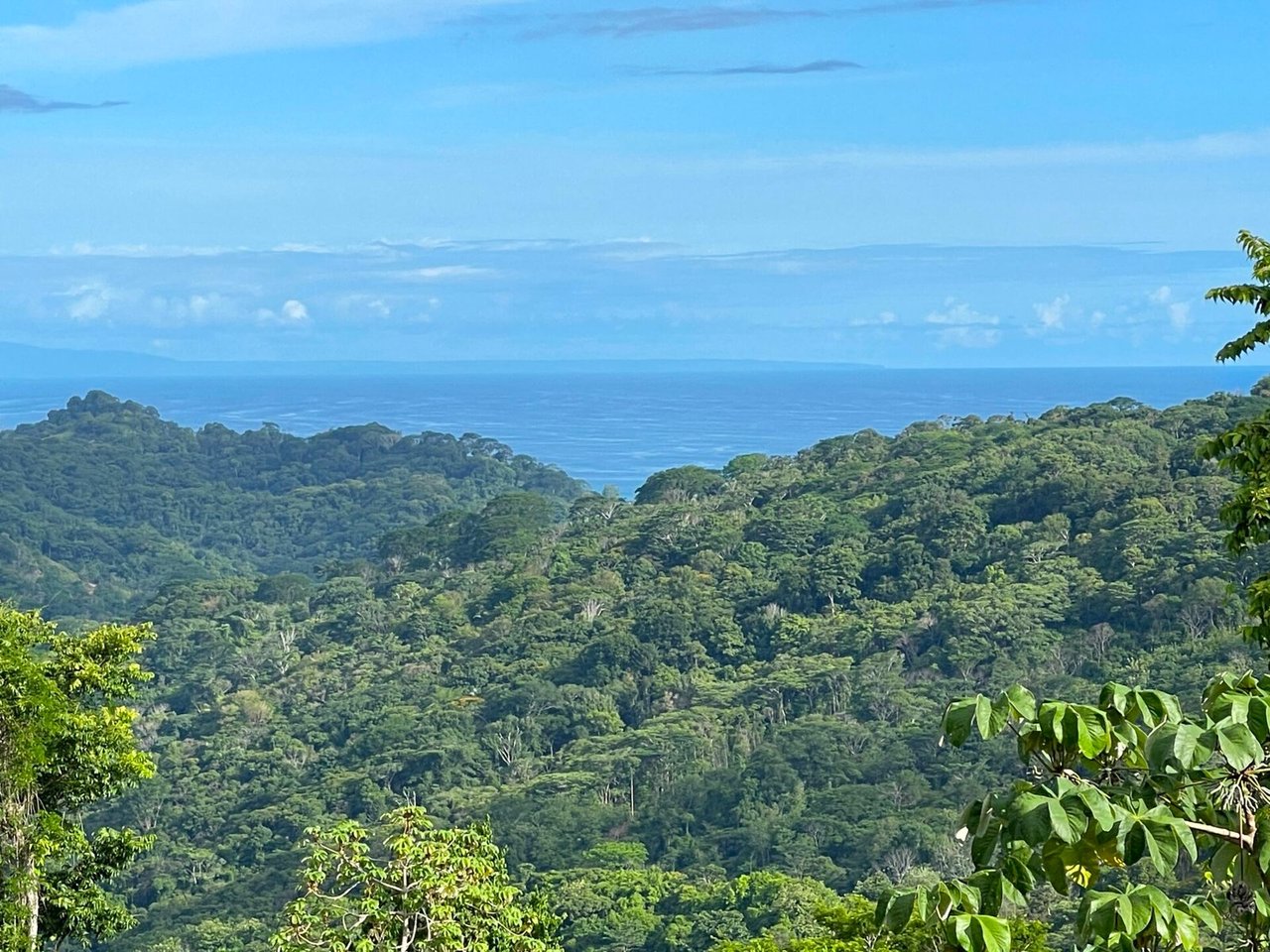 4.76 ACRES – Ocean View Property in Lagunas, Completely Flat And Usable, Commercial Or Residential, Ready To Build!!!