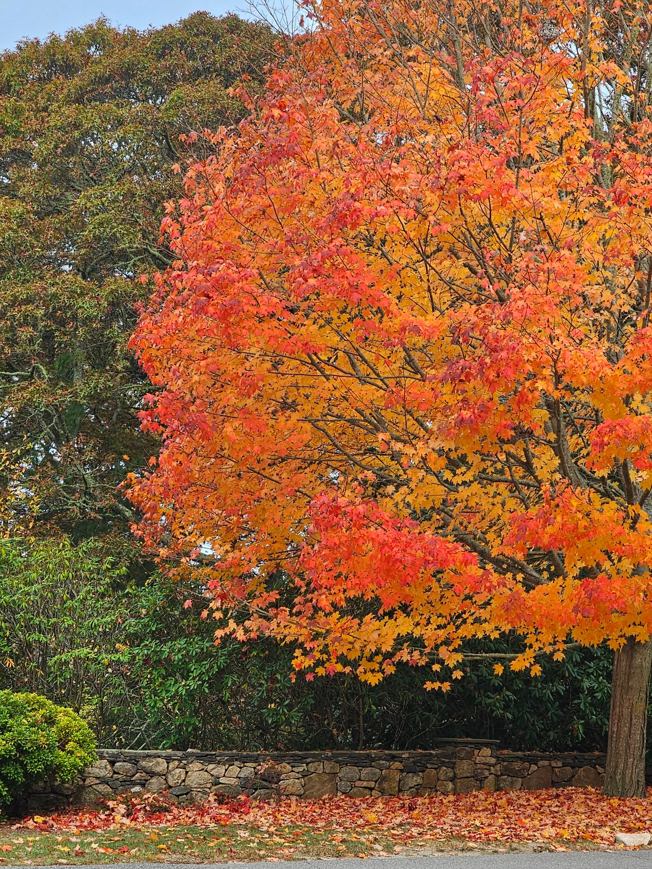 Cape Cod in Sweater Weather: Cozy Cafés and Bakeries to Visit This Fall