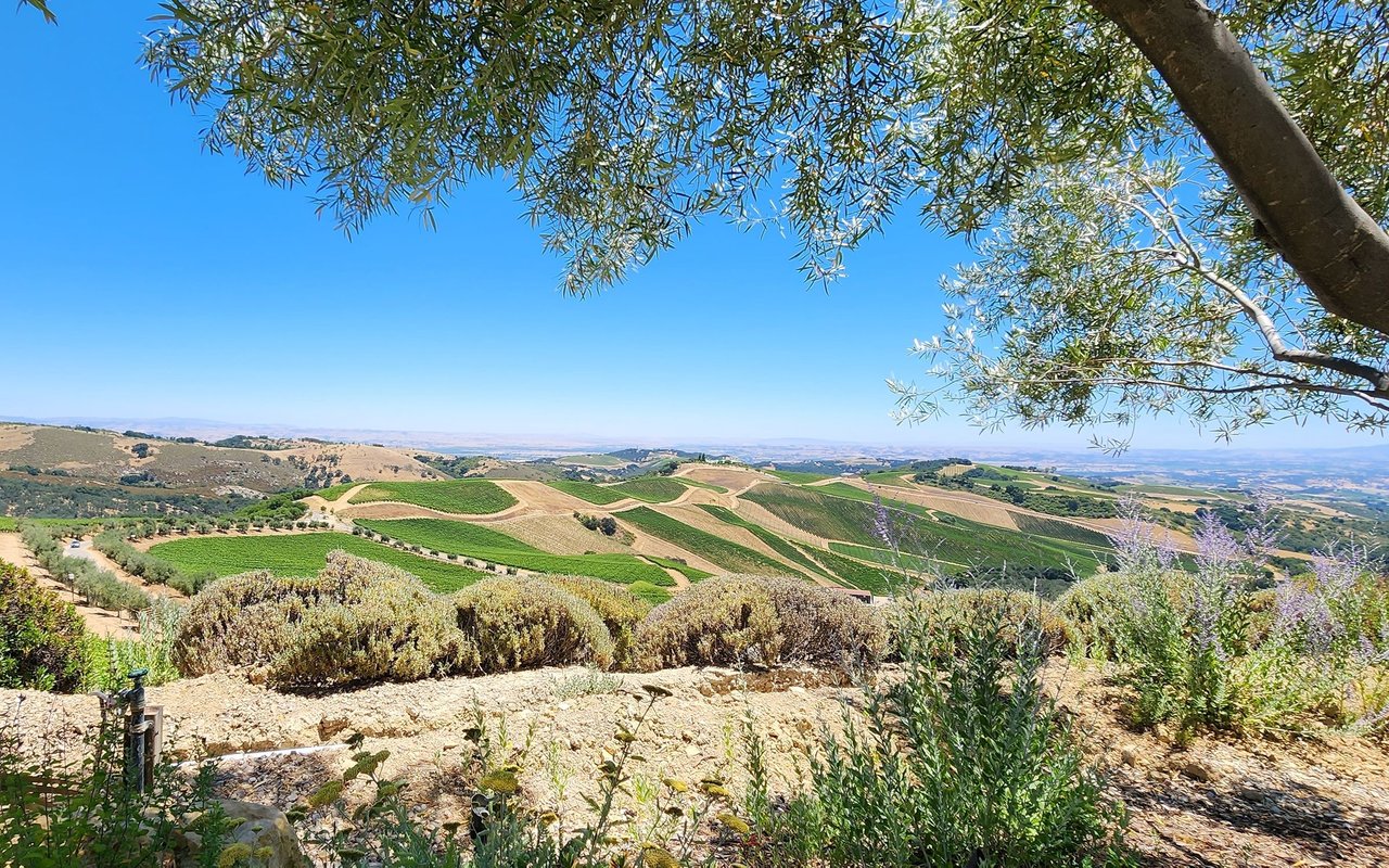 Paso Robles
