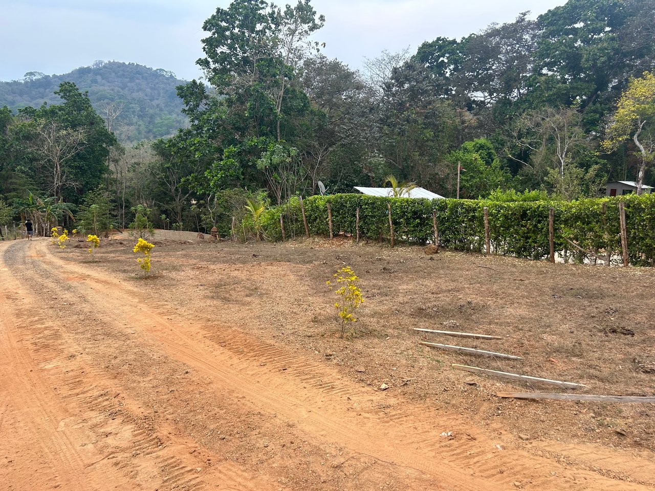 0.59 acre Lot El Carmen / El Carmen , Zapotal, Nandayure, Guanacaste