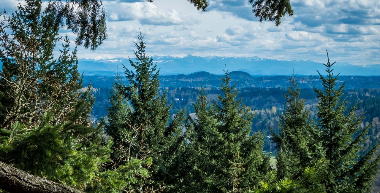 8 Best Parks in Issaquah Washington