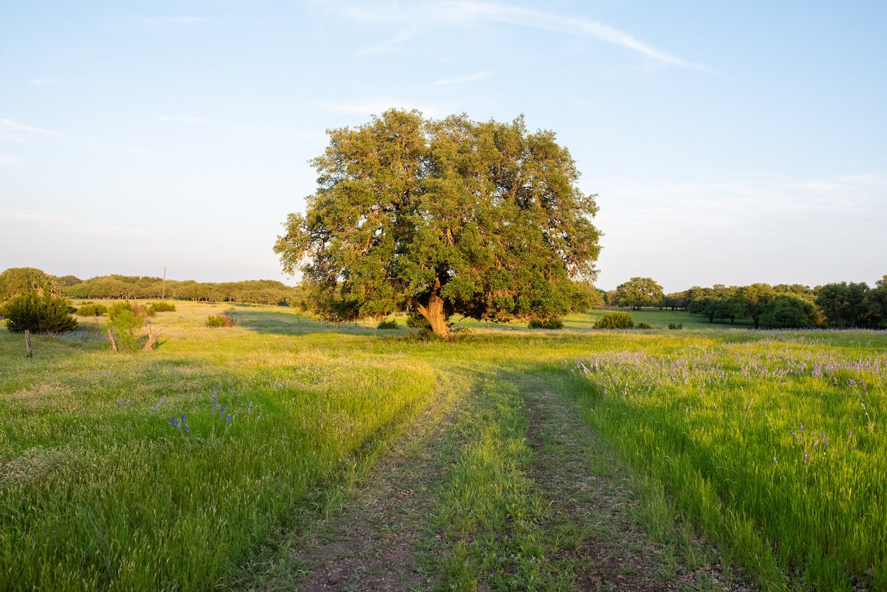 Apache Ranch
