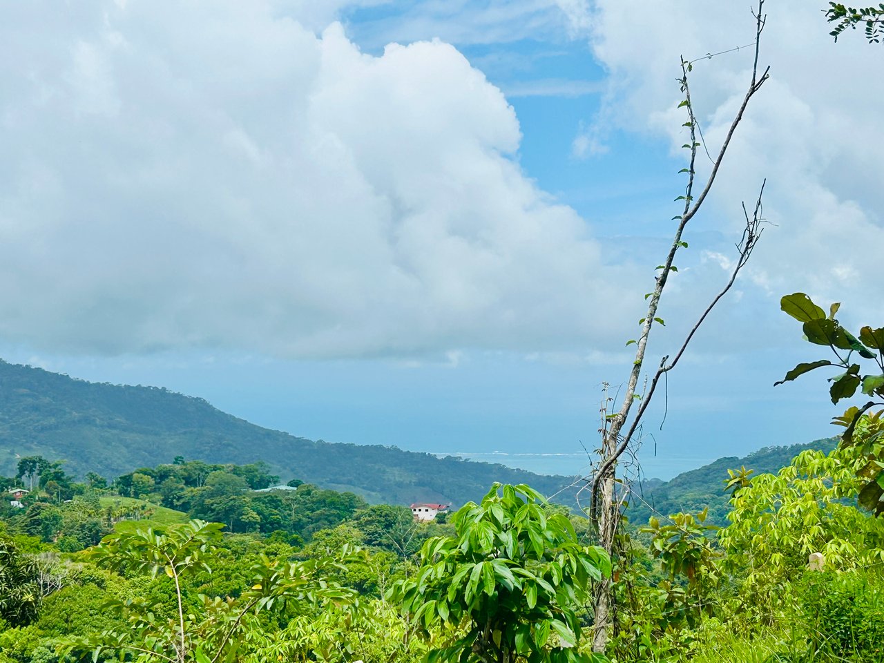 Ocean & Mountain View Lot with Multiple Building Sites-20 Minutes from Uvita