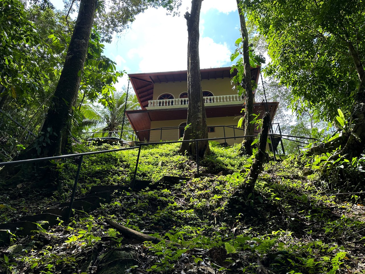 FIRE SALE! Jungle, Rivers, a Waterfall and Panoramic Ocean View