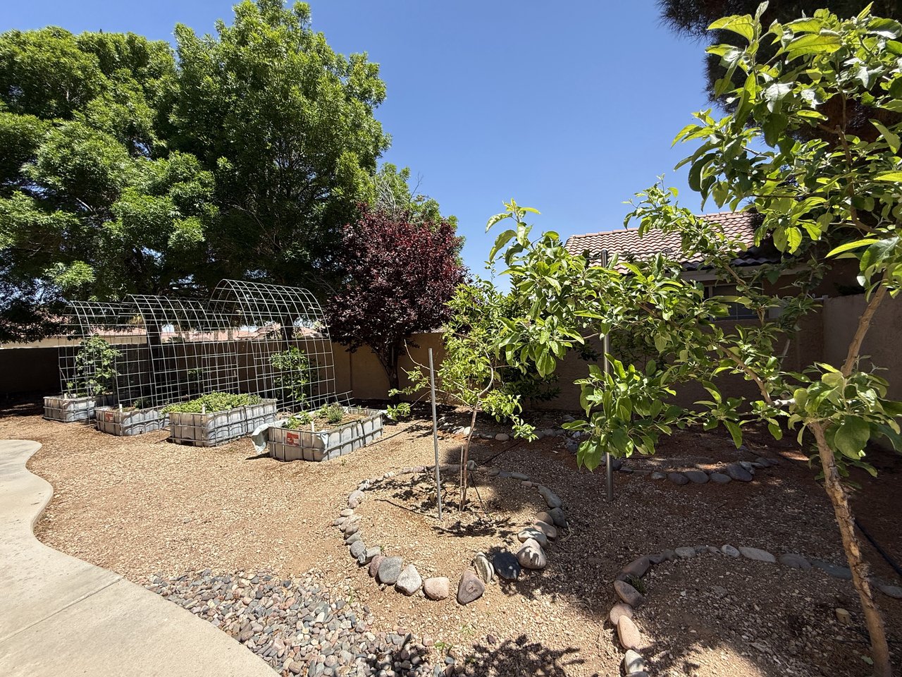 Editable Front Yard Landscaping in Kingman AZ