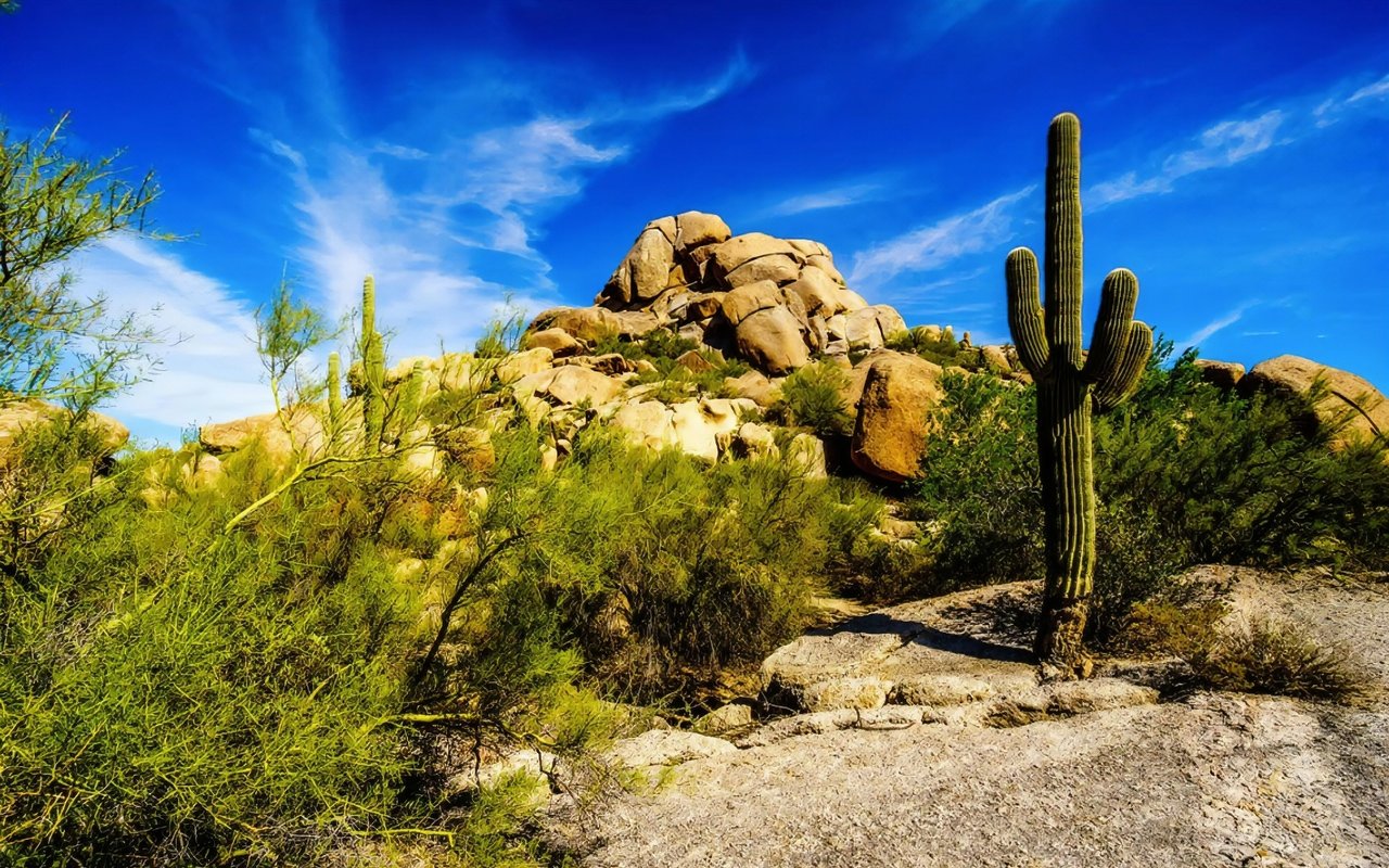 Carefree/Cave Creek