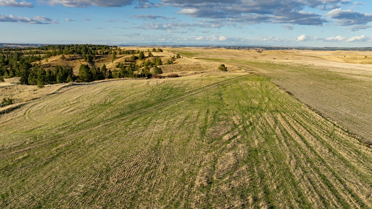 Salt Creek Ranch