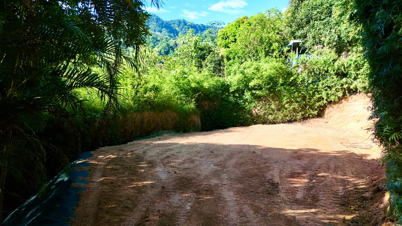 Great Opportunity Well-Located Lot in Playa Hermosa