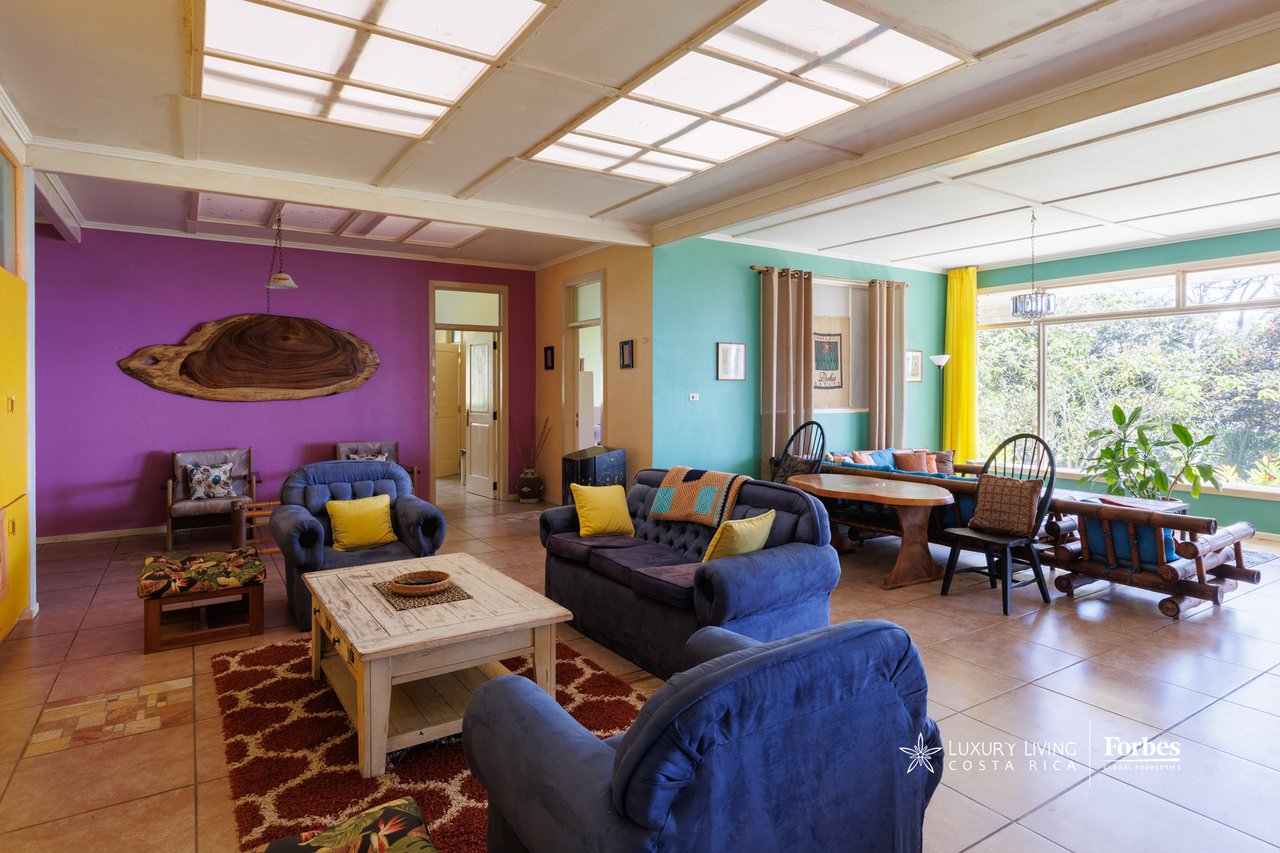 Furnished living room with blue sofas, colorful walls, and large windows beneath a skylight ceiling.
