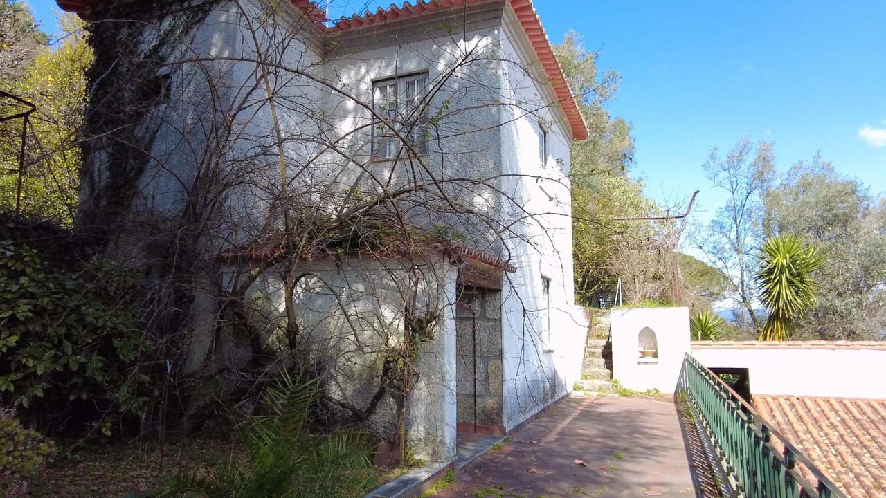 Charming Countryside Estate Near Braga – 11 Acres of Privacy, Potential & Portuguese Character