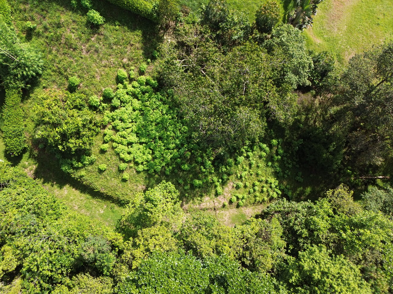 FIRE SALE - Cano Island & Ocean Views, w/Approved Building Plans