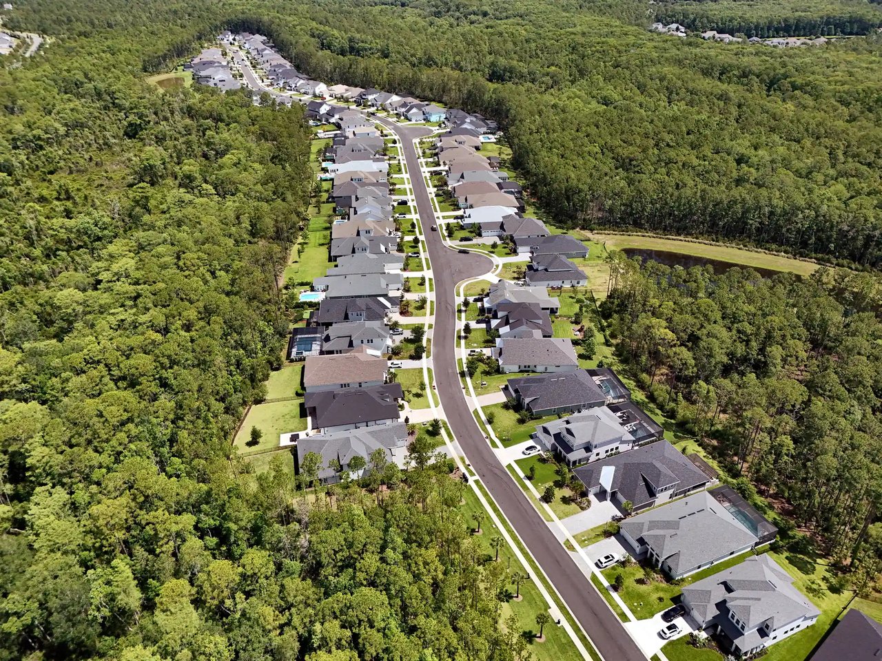 Aerial view of Palm Crest homes along one long curving street, wrapped on both sides by thick preserve.