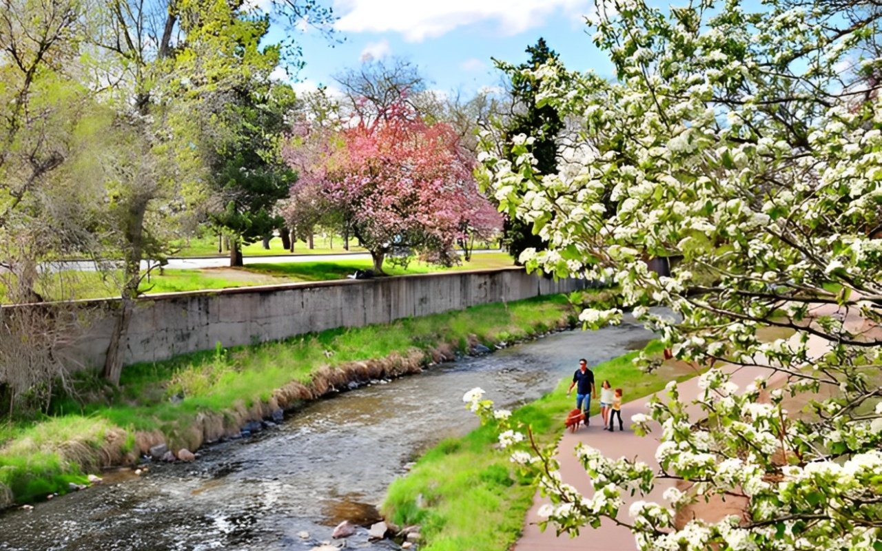 Transportation in Cherry Creek: Getting Around the Neighborhood