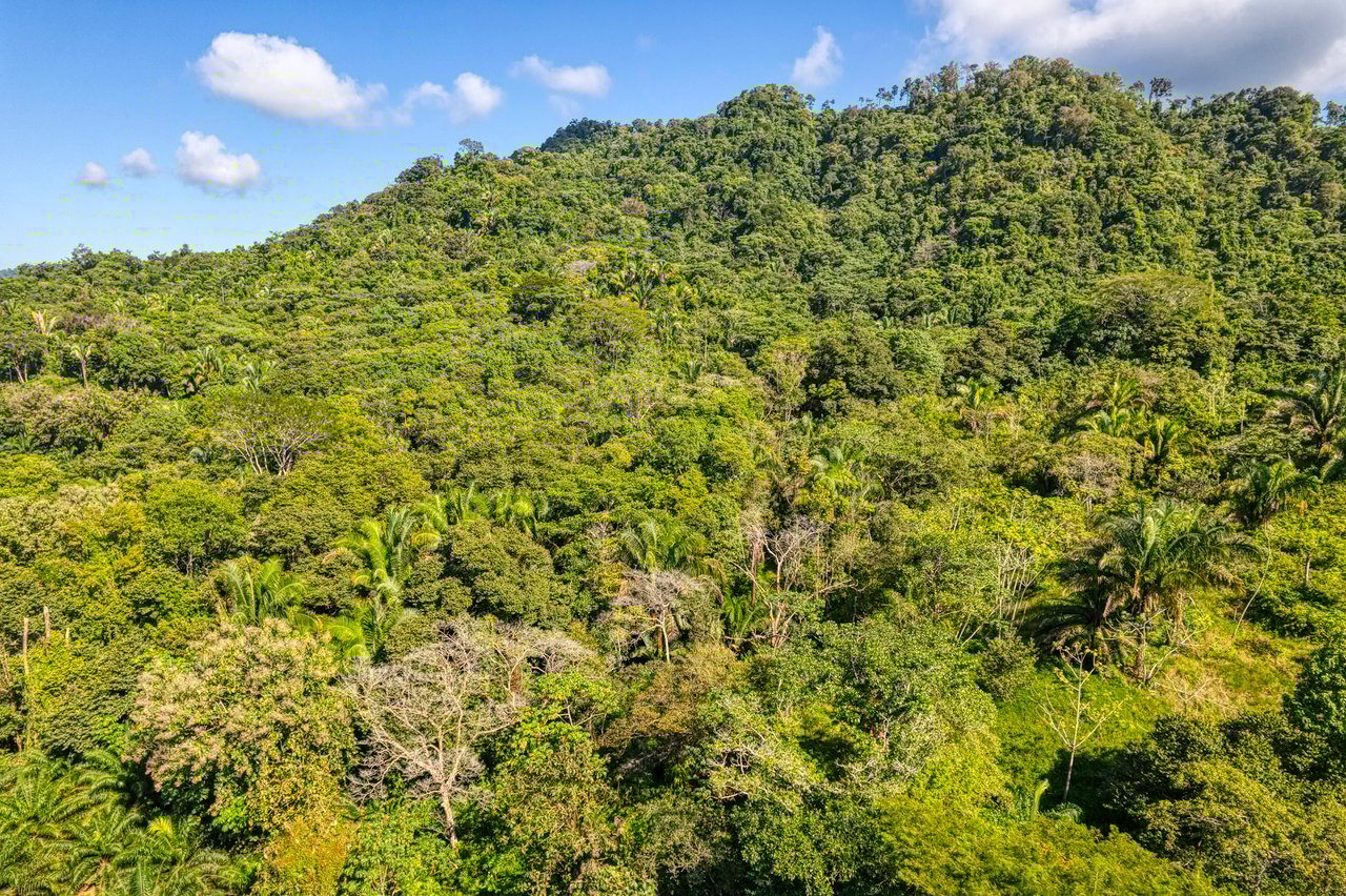 Ocean View Property in Portalon