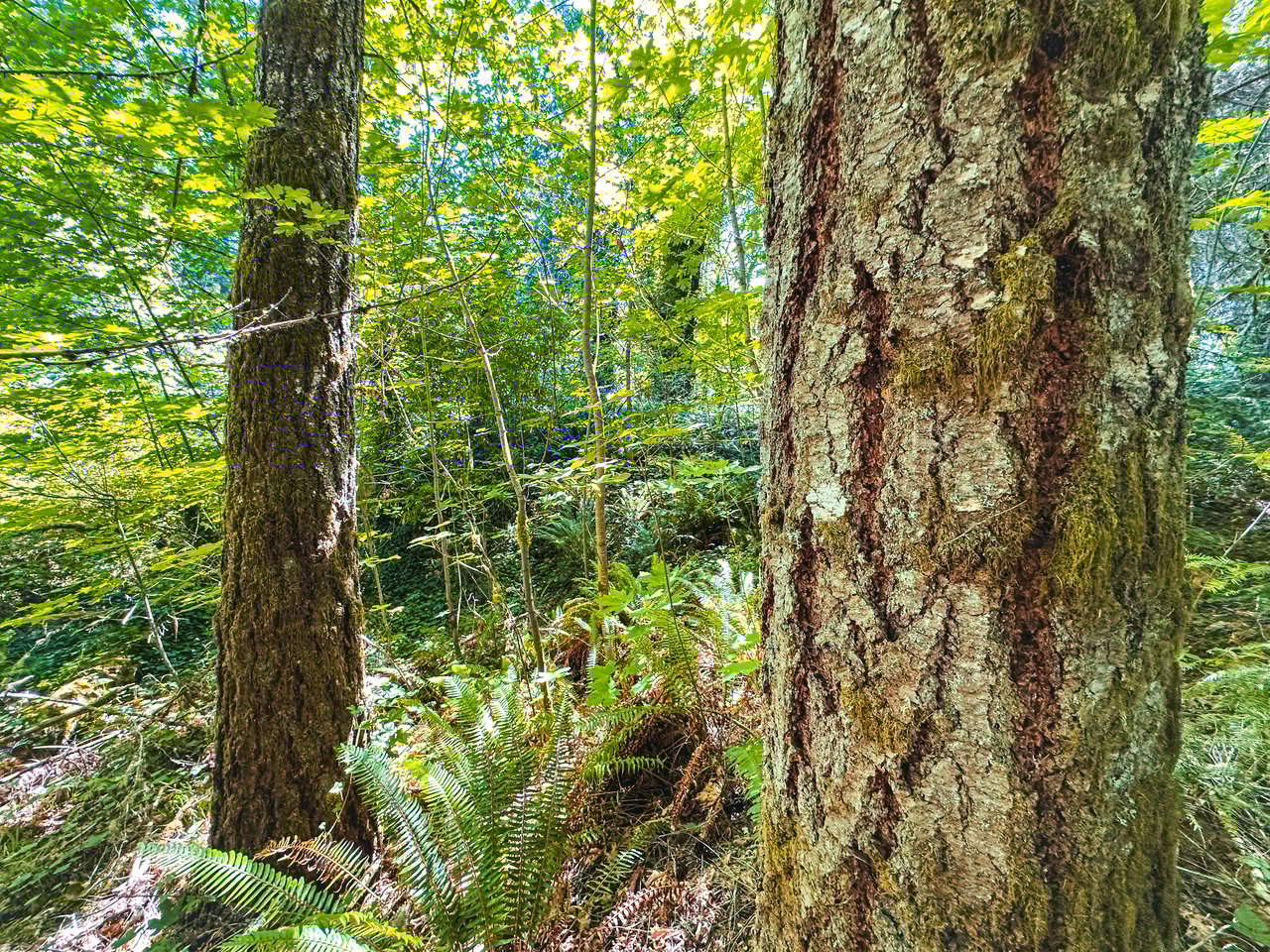 London Grove Riverfront