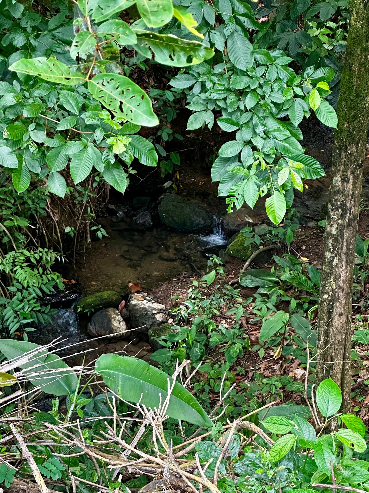 Investment Opportunity in Playa Hermosa – Fixer-Upper with Great Potential!
